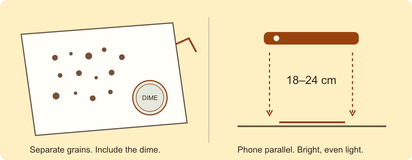 Spread separate grounds beside a dime on white paper. Hold the phone parallel above them.